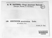 Image Associated With the Occurence